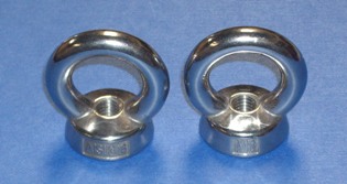 Stainless Steel Lifting Ring